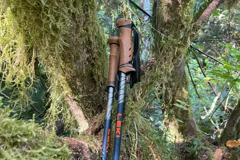 8 Best Trekking Poles for Hiking Stability in 2026